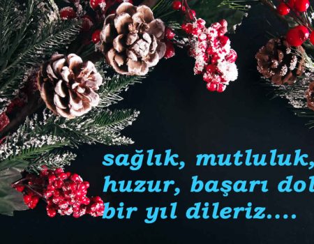 Yeni yıl hediyeleriniz